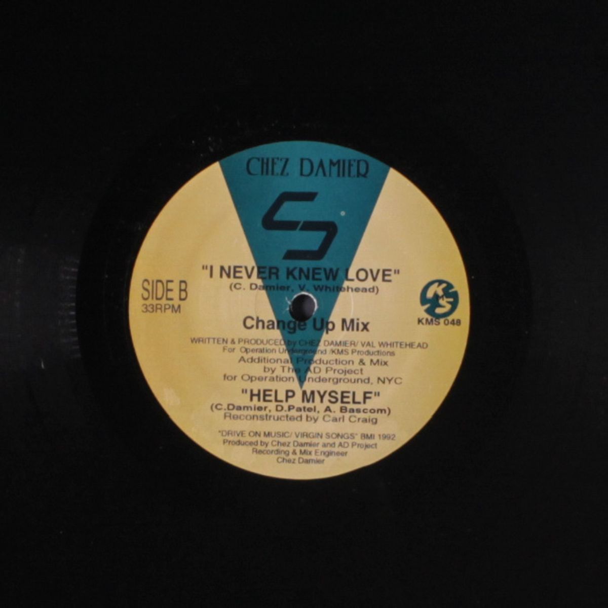 i never knew love by CHEZ DAMIER