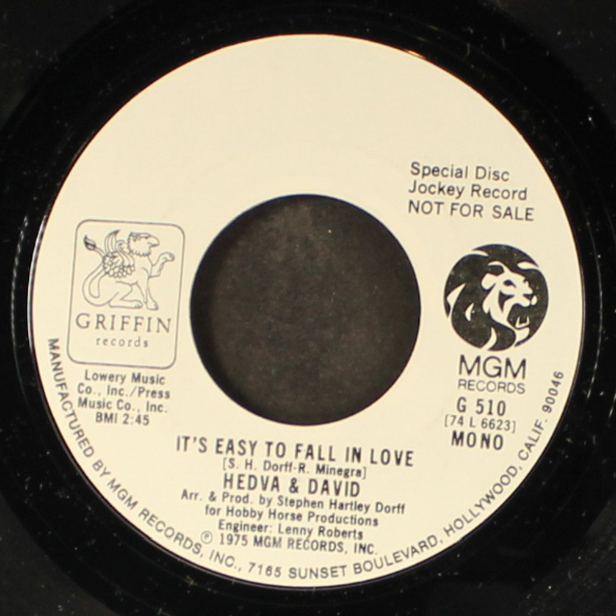 it's easy to fall in love / mono by HEDVA & DAVID