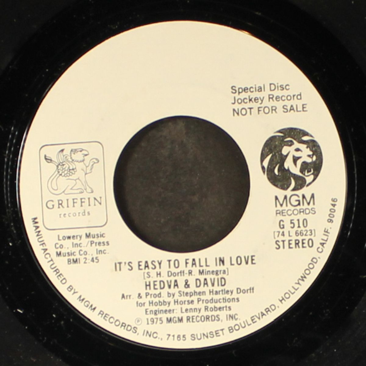 it's easy to fall in love / mono by HEDVA & DAVID