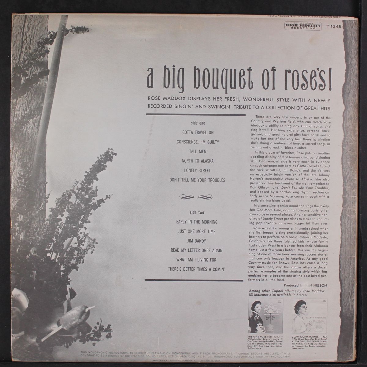 a big bouquet of roses by ROSE MADDOX