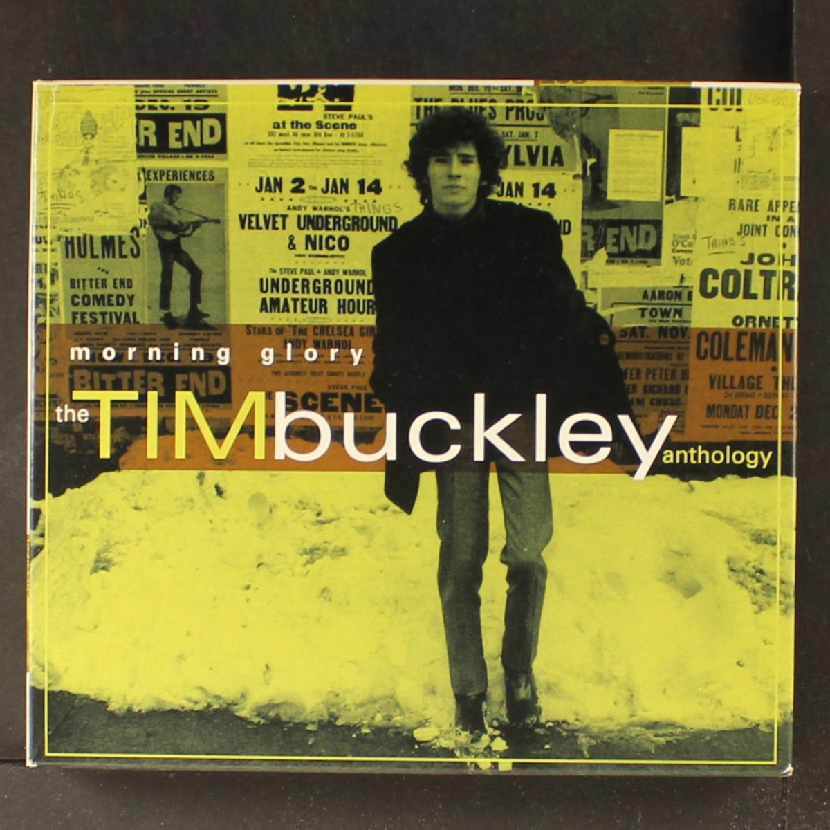 morning glory by TIM BUCKLEY