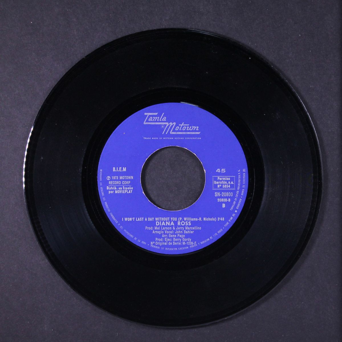 touch me in the morning / i'm still waiting by DIANA ROSS