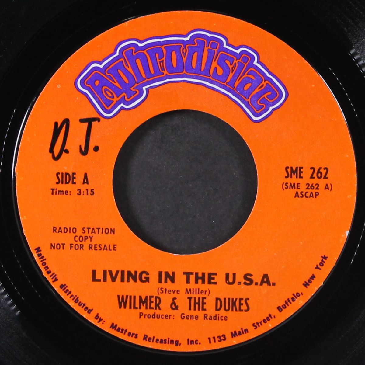 living in the u.s.a. by WILMER & DUKES