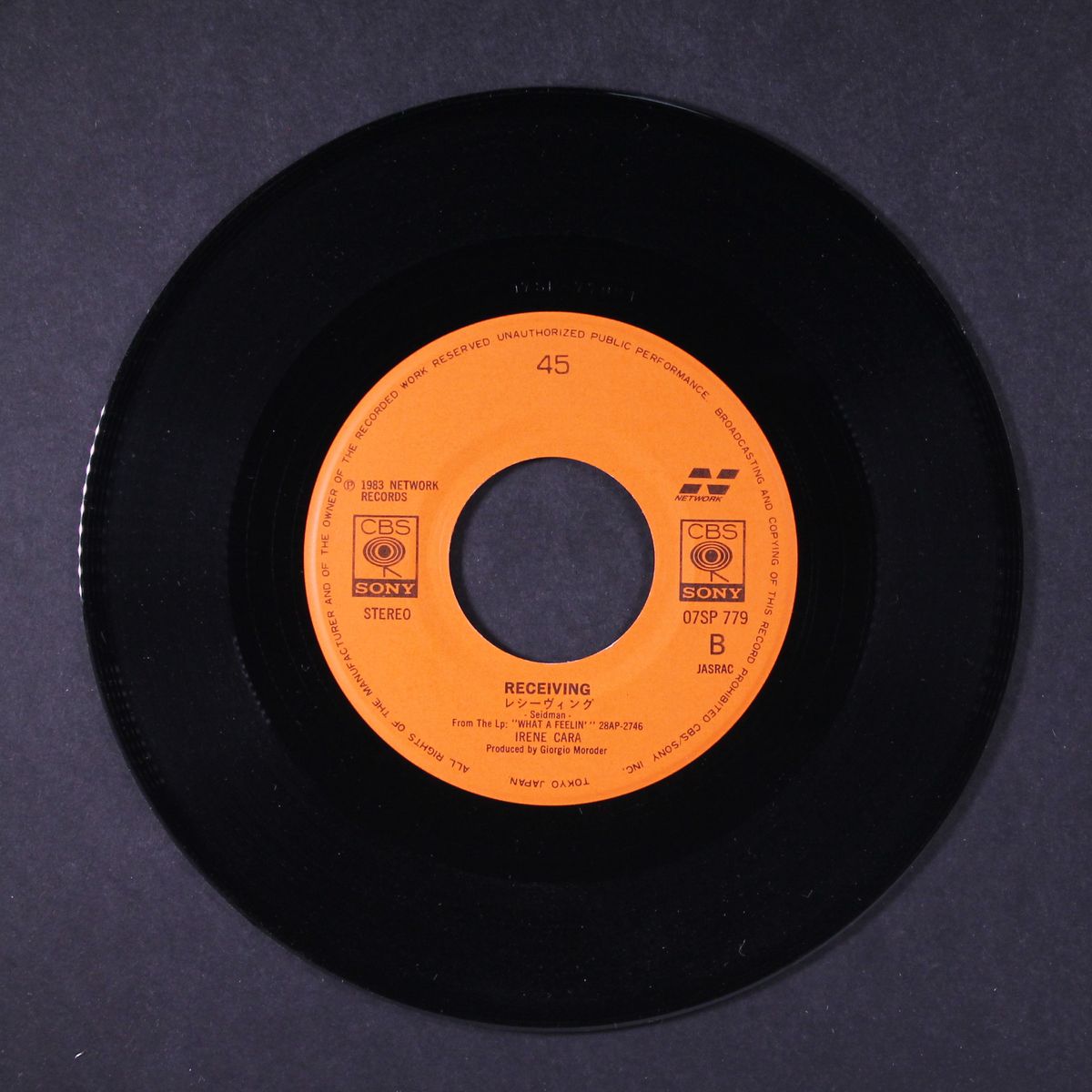 the dream (hold on to your dream) by IRENE CARA