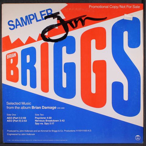 BRIAN BRIGGS