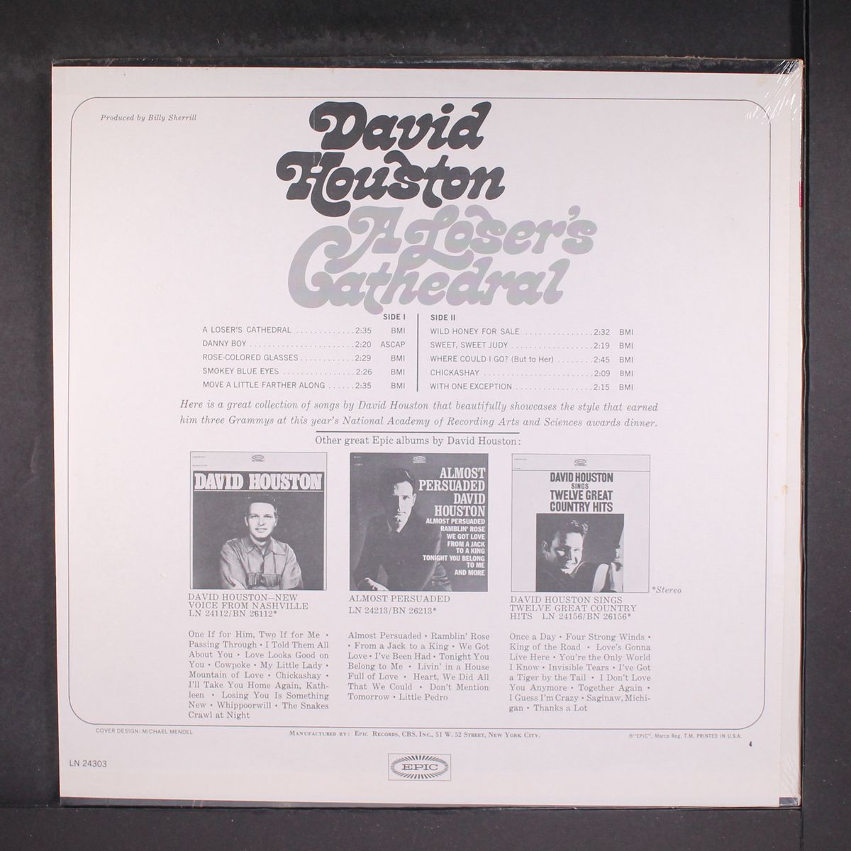a loser's cathedral by DAVID HOUSTON
