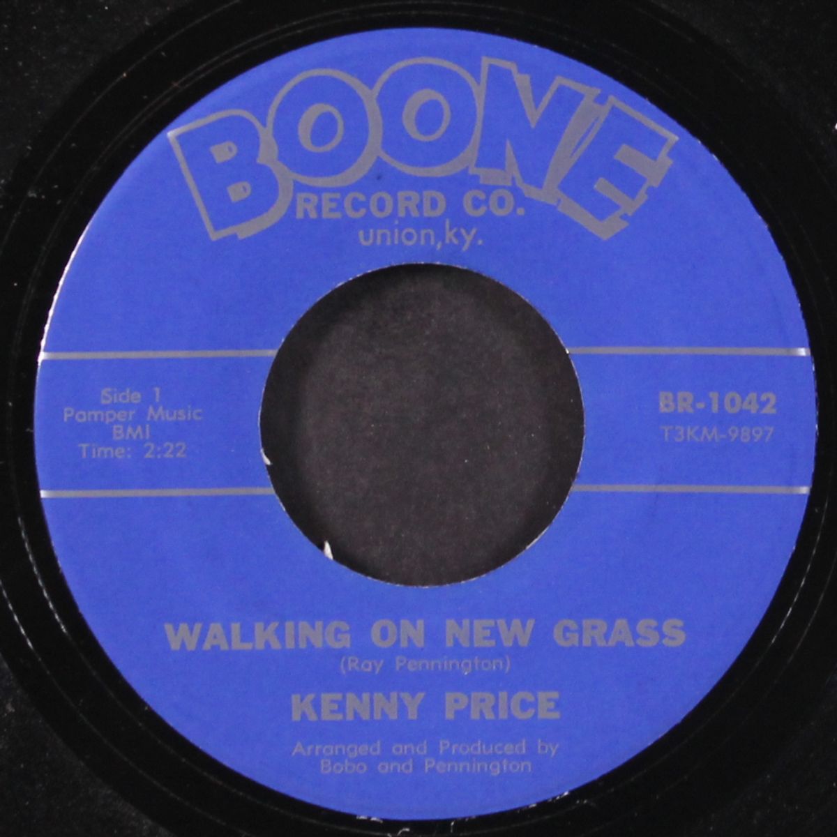 wasting my time / walking on new grass by KENNY PRICE