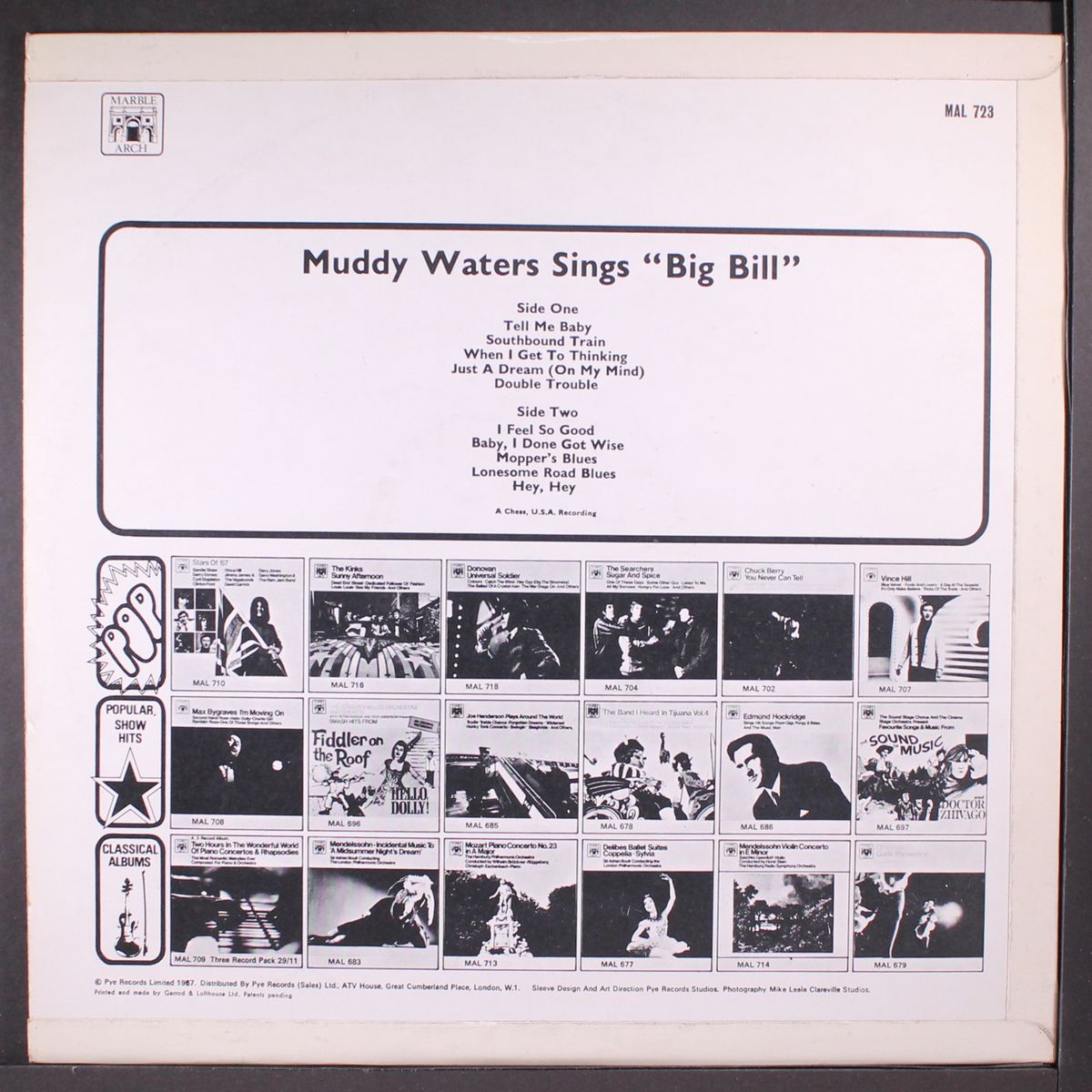 sings big bill by MUDDY WATERS