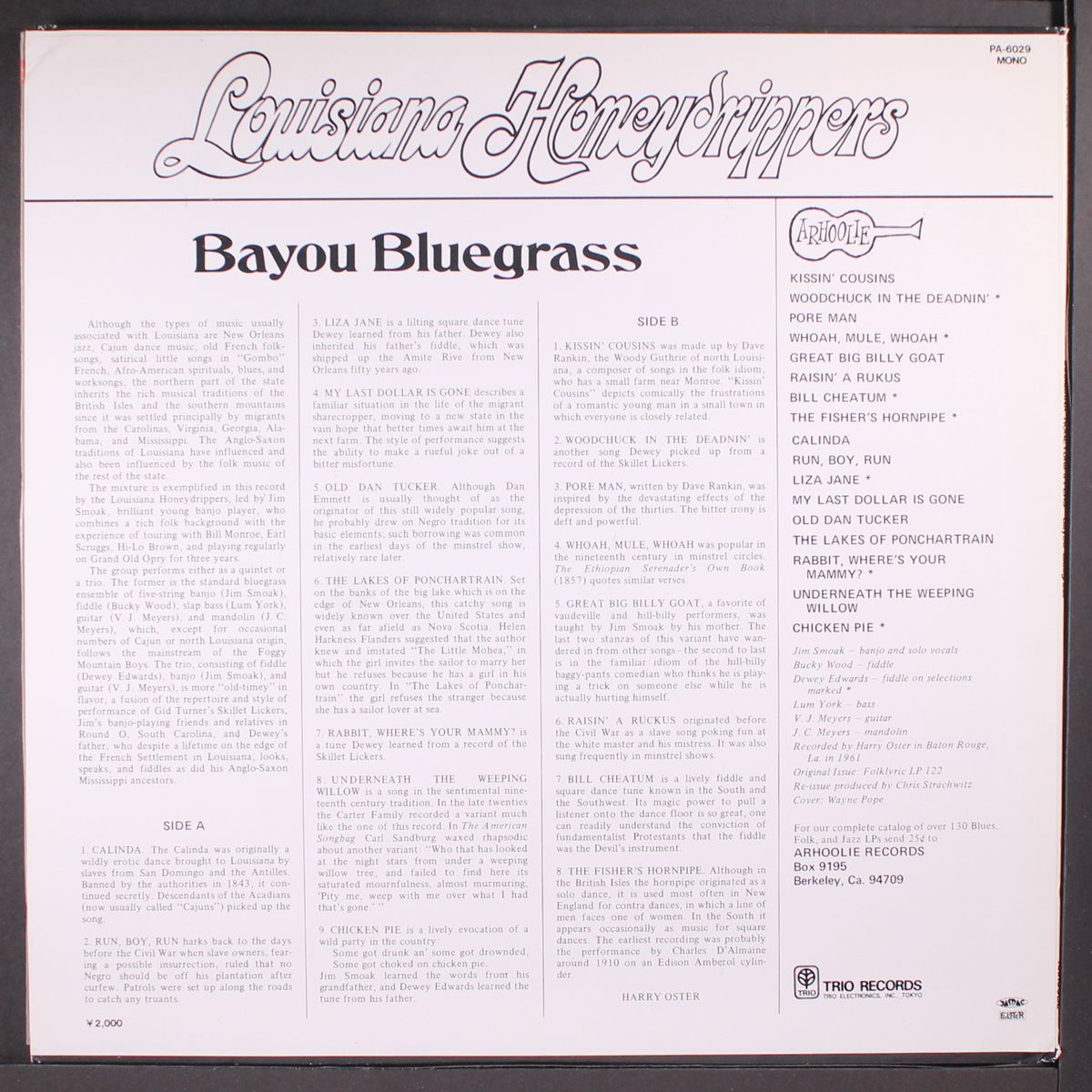 bayou bluegrass by LOUISIANA HONEYDRIPPERS