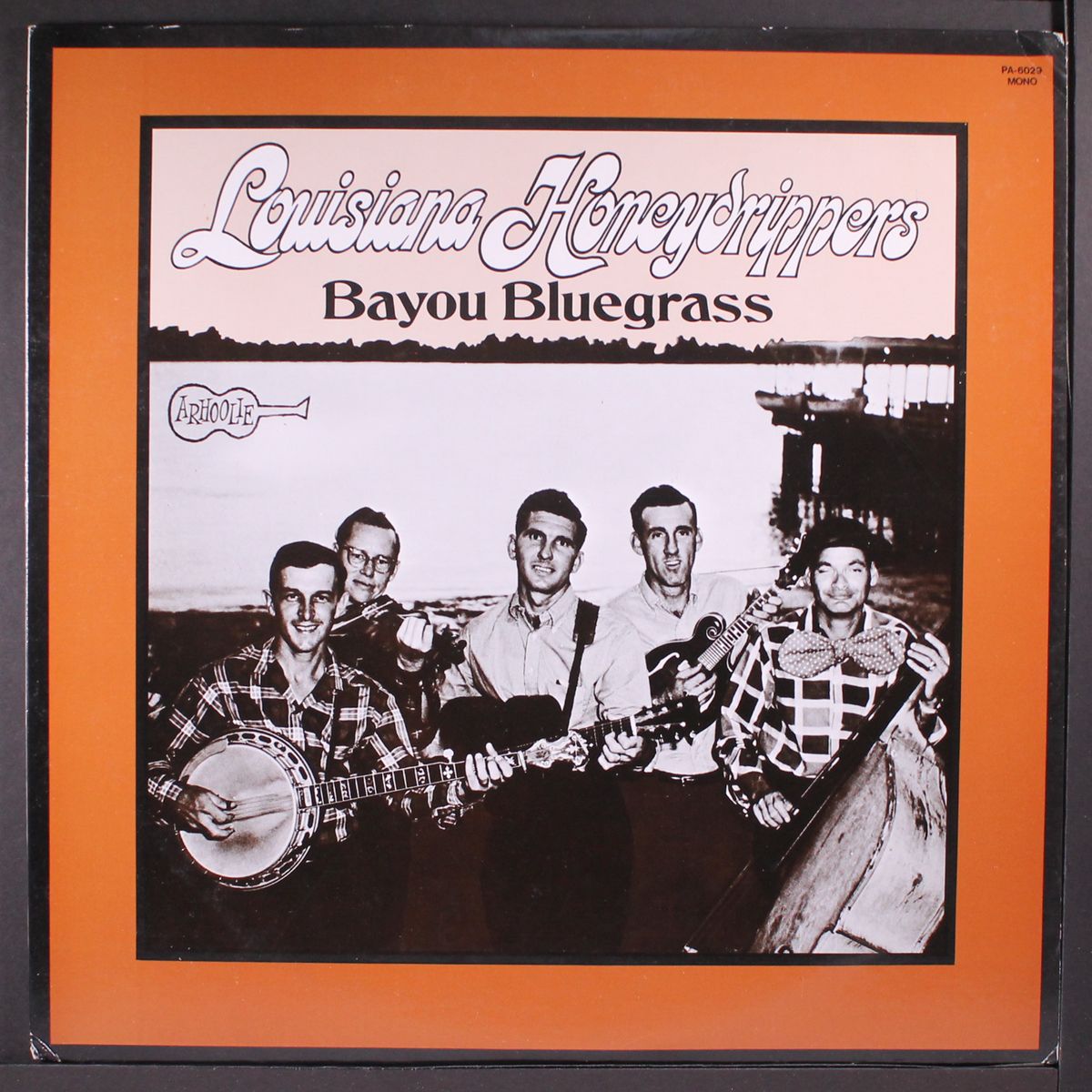 bayou bluegrass by LOUISIANA HONEYDRIPPERS