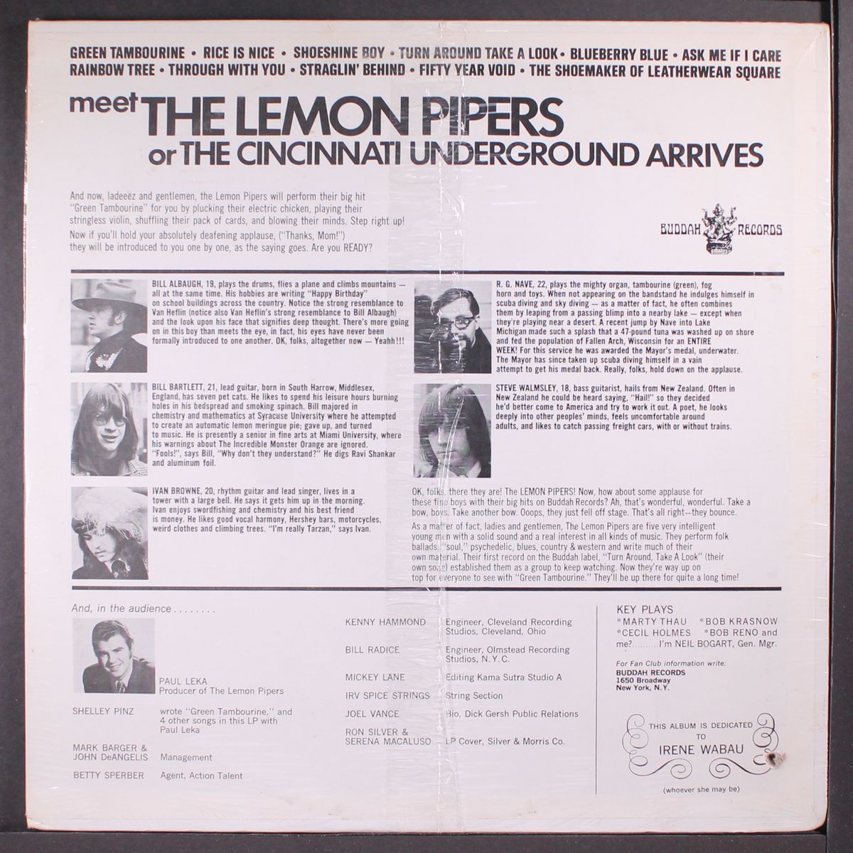 green tambourine by LEMON PIPERS