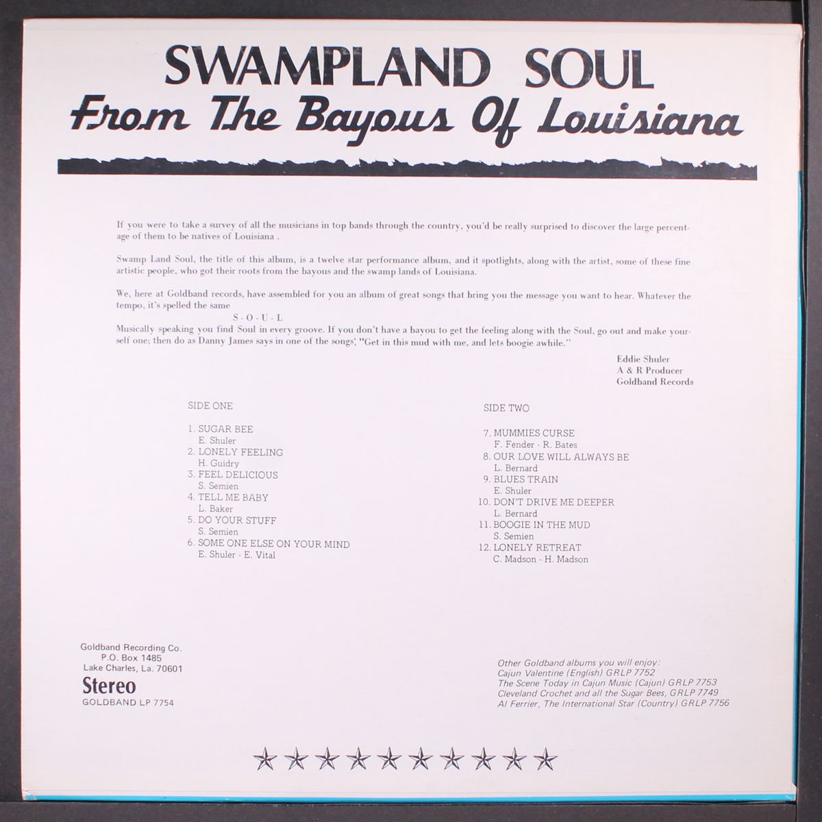 swampland soul by VARIOUS