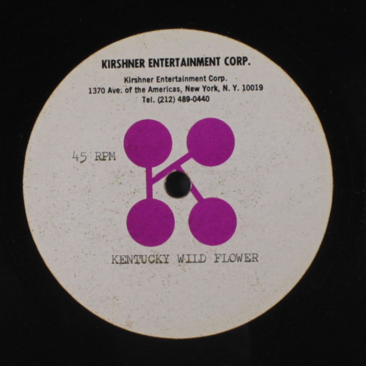 kentucky wild flower / blank by JAY LEONHART