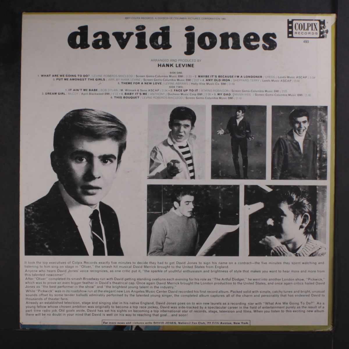 david jones by DAVID JONES