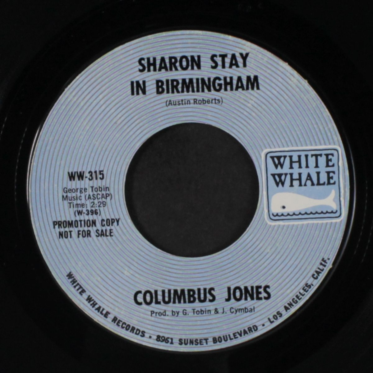 sharon stay in birmingham / same by COLUMBUS JONES