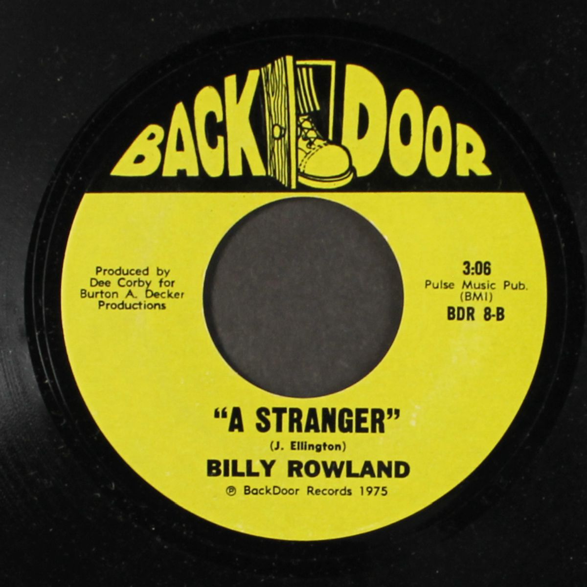 born in the south by BILLY ROWLAND