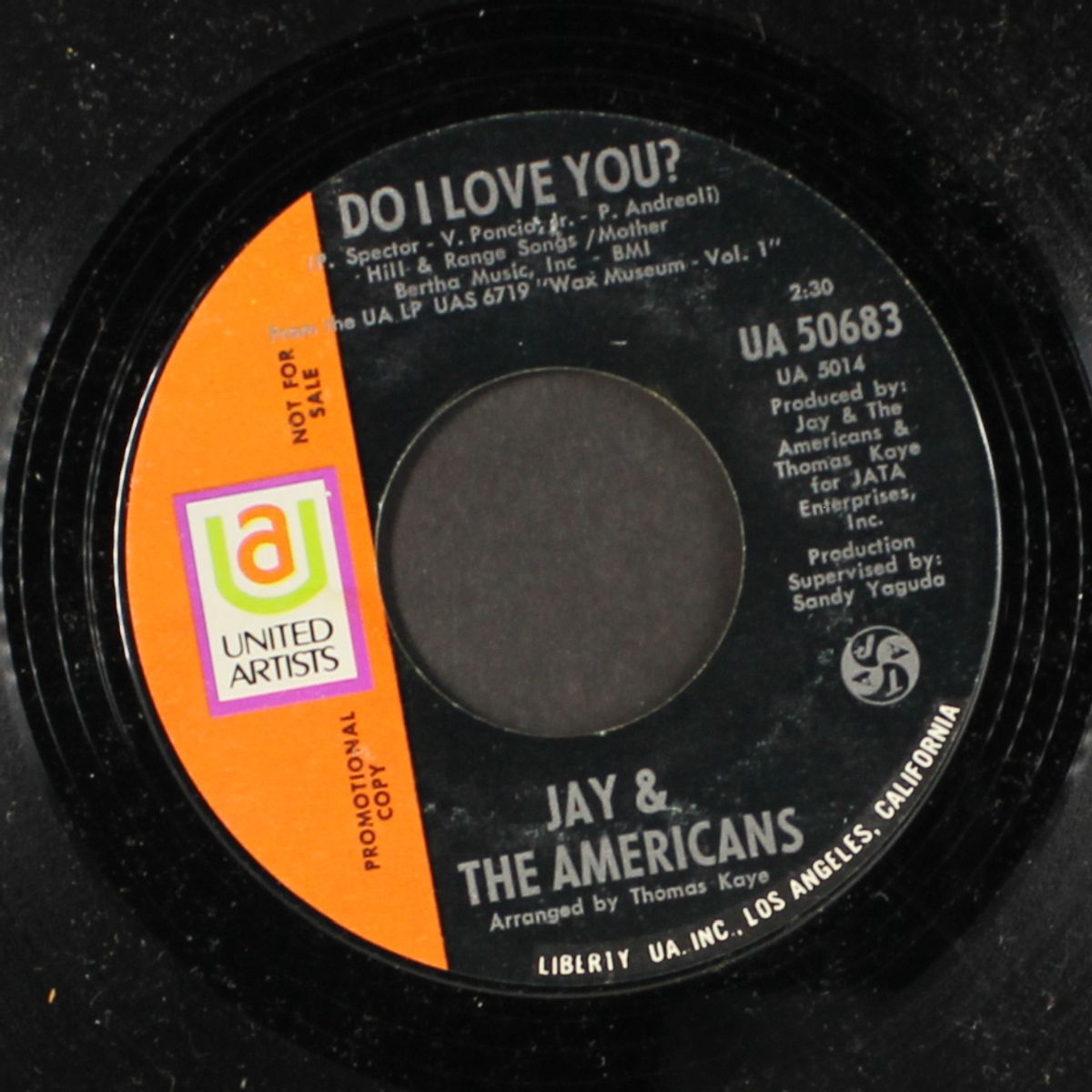 tricia / do i love you? by JAY & AMERICANS