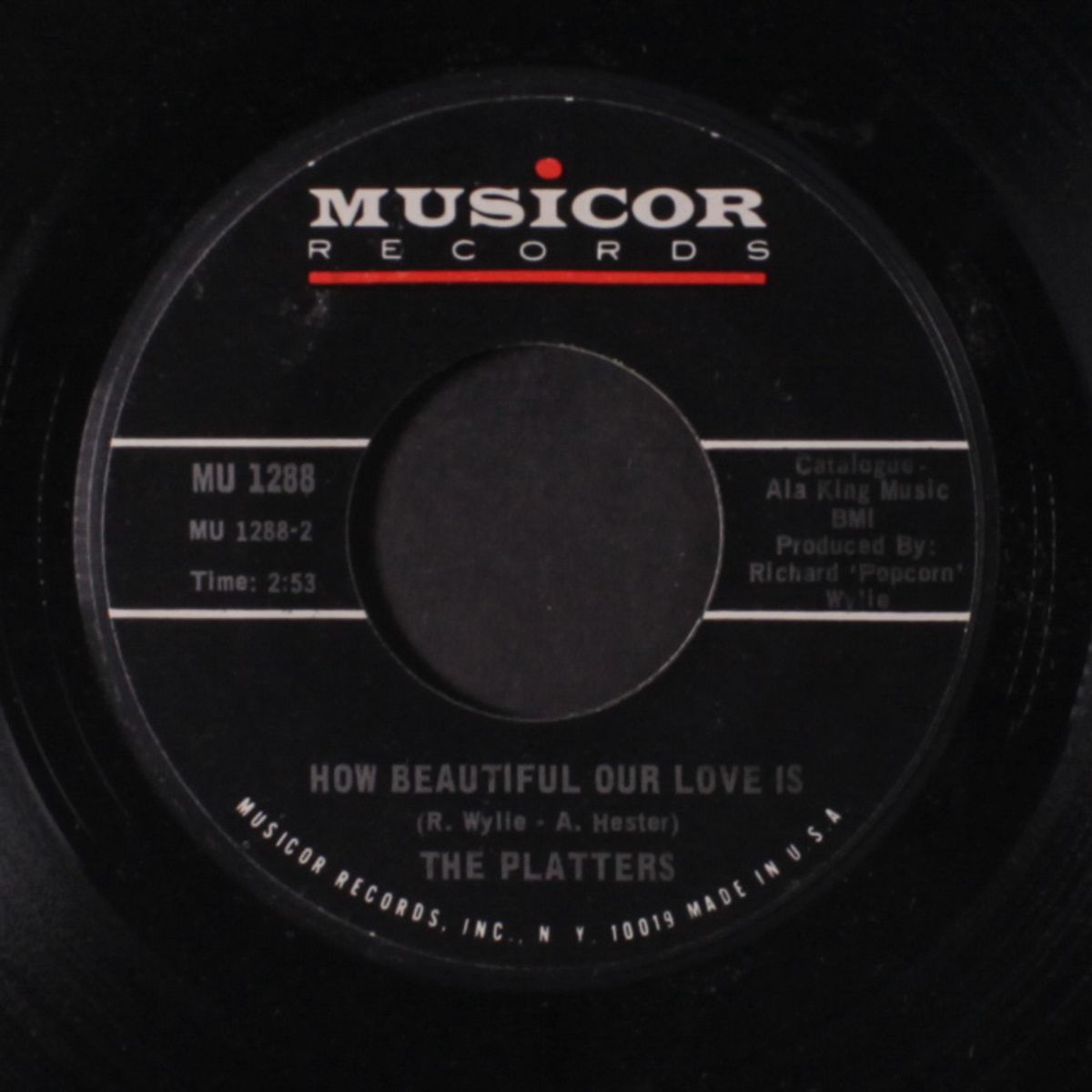 love must go on / how beautiful our love is by PLATTERS