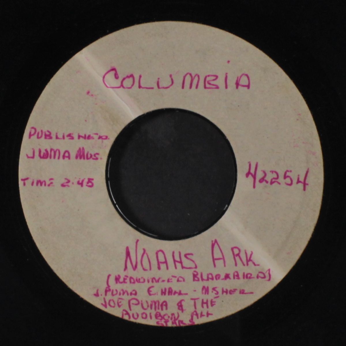 noahs ark / blank by JOE PUMA