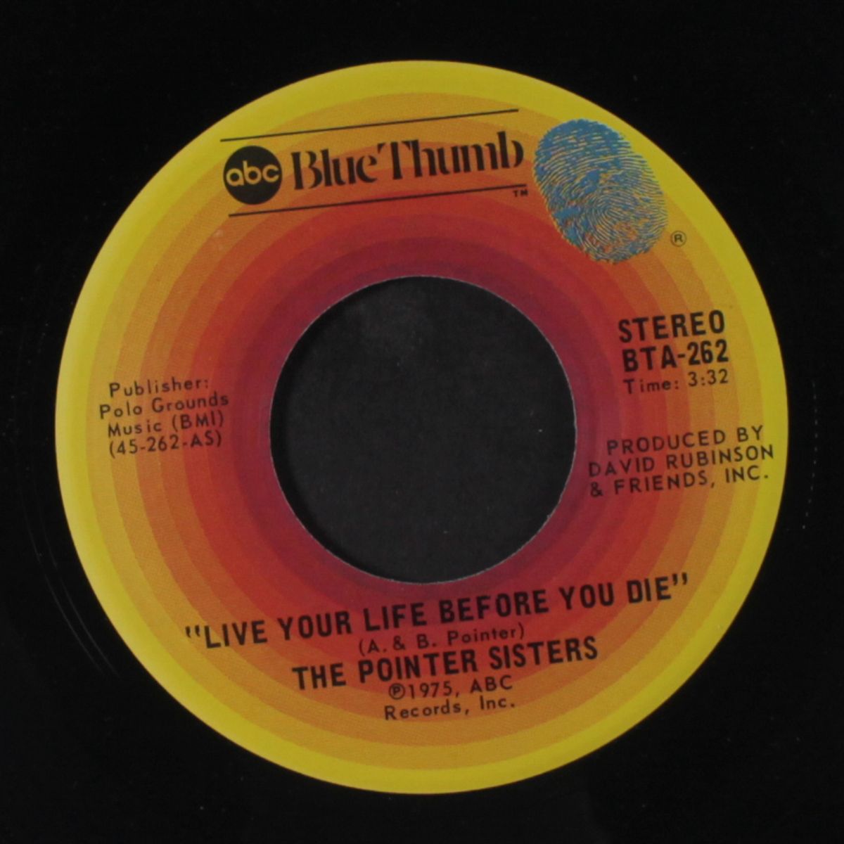 live your life before you die / shaky flat blues by POINTER SISTERS