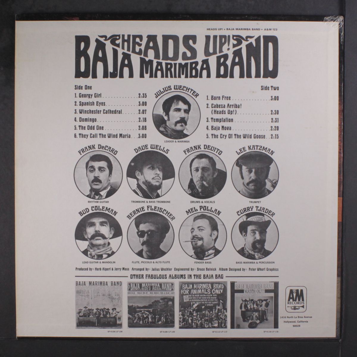 heads up! by BAJA MARIMBA BAND