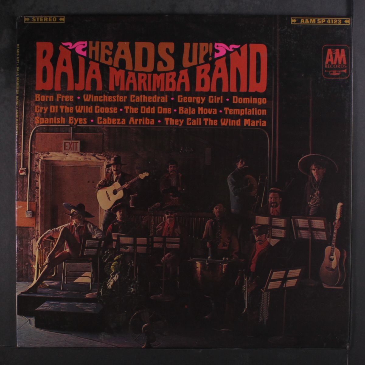 heads up! by BAJA MARIMBA BAND
