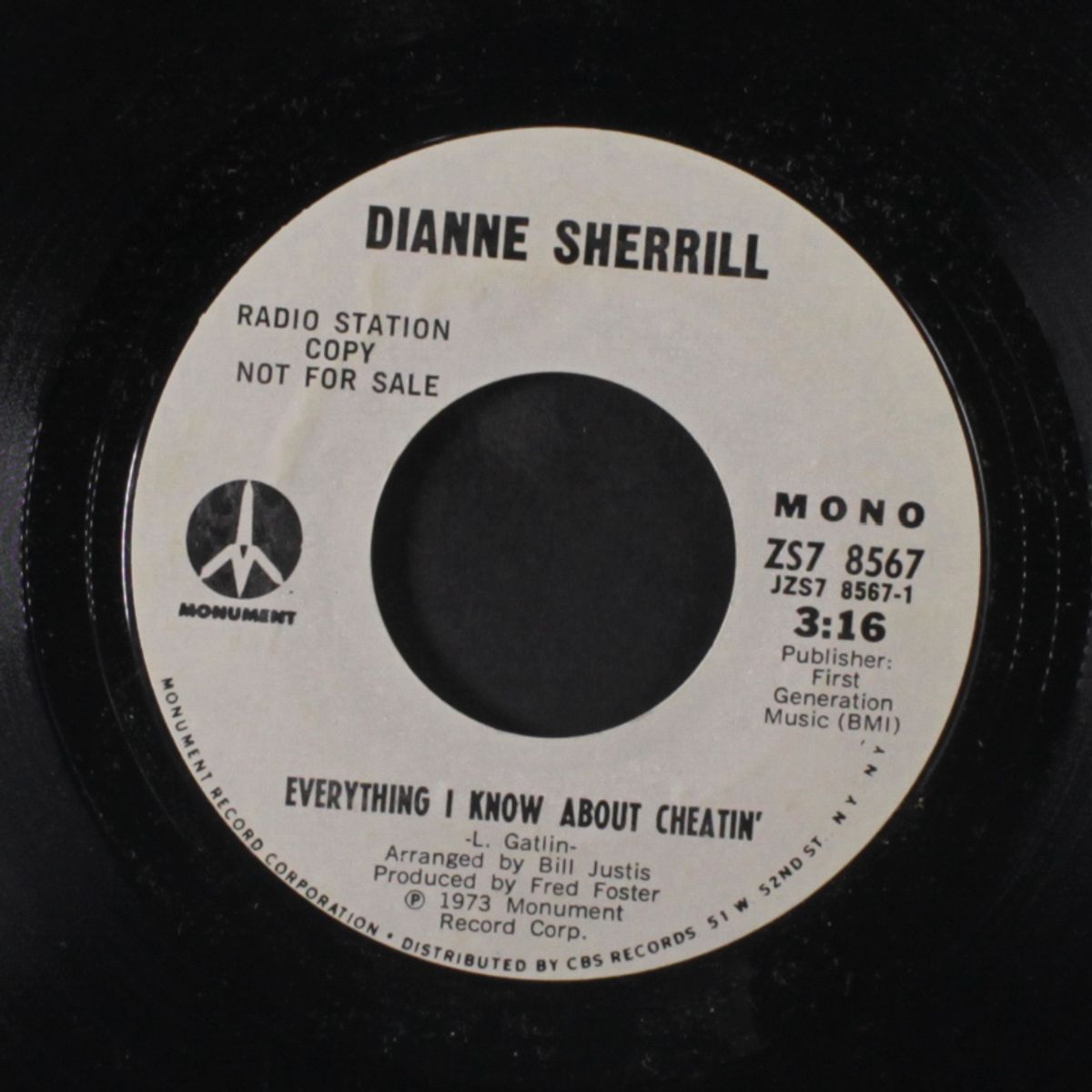 everything i know about cheatin' / mono by DIANNE SHERRILL