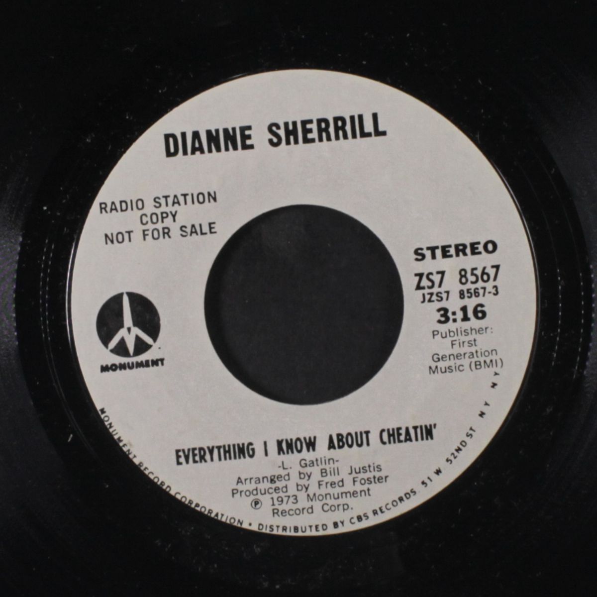 everything i know about cheatin' / mono by DIANNE SHERRILL