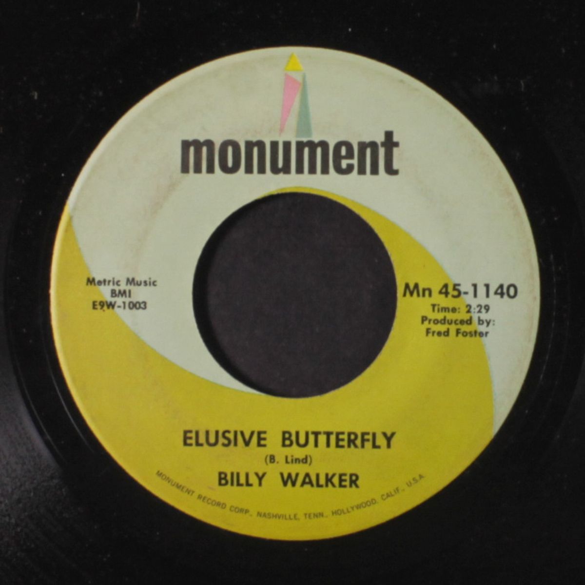 smoky places / elusive butterfly by BILLY WALKER