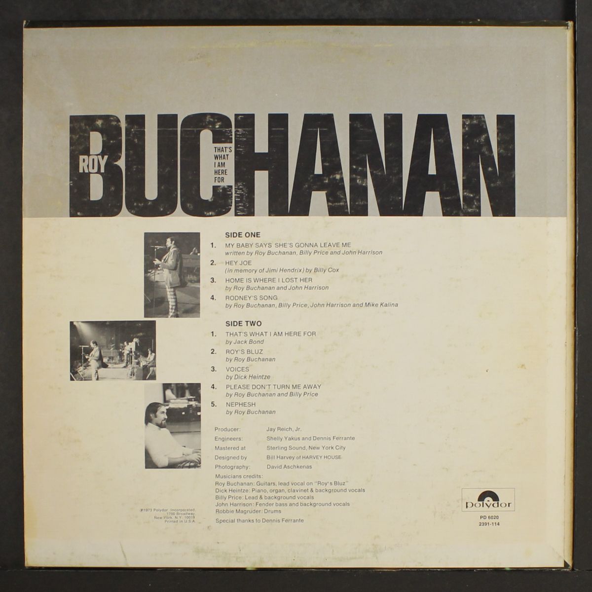 that's what i am here for by ROY BUCHANAN