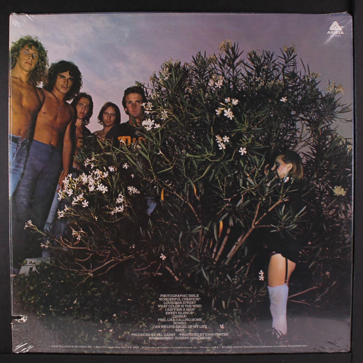 photographic smile by MR. BIG
