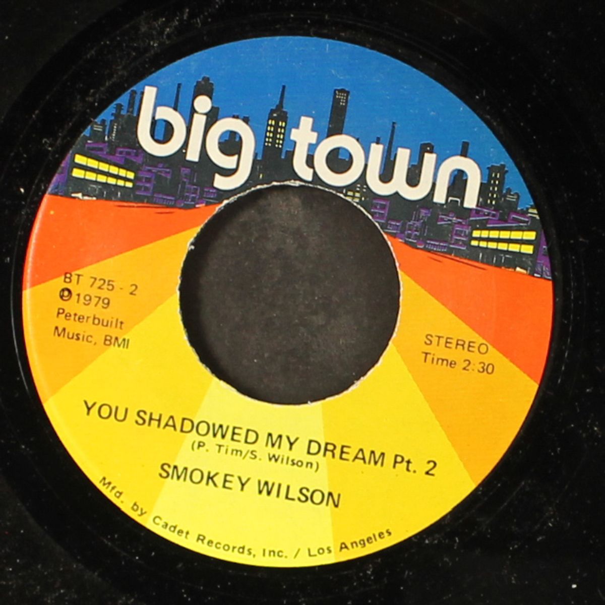 you shadowed my dream / part 2 by SMOKEY WILSON