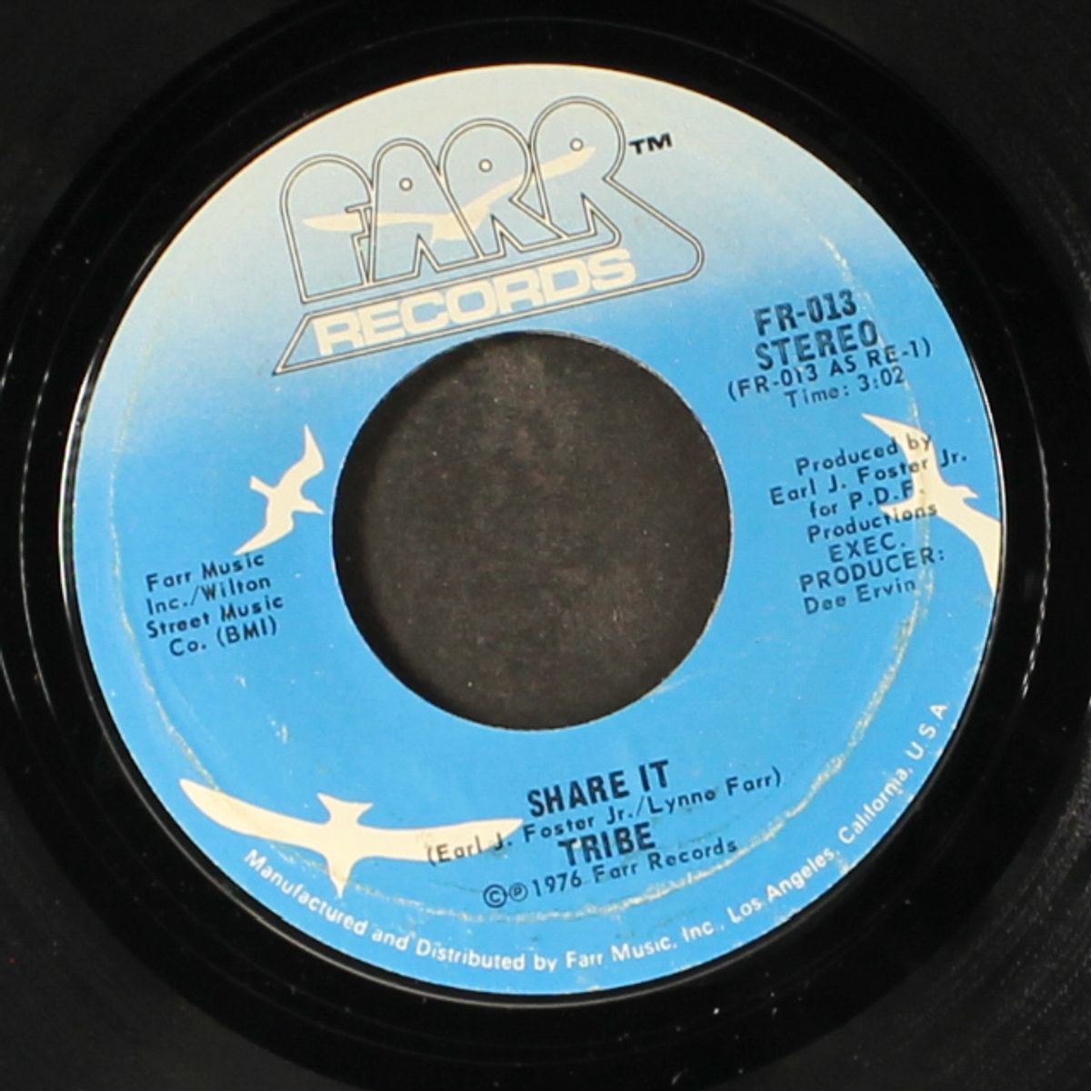 ain't nothing but a party / share it by TRIBE
