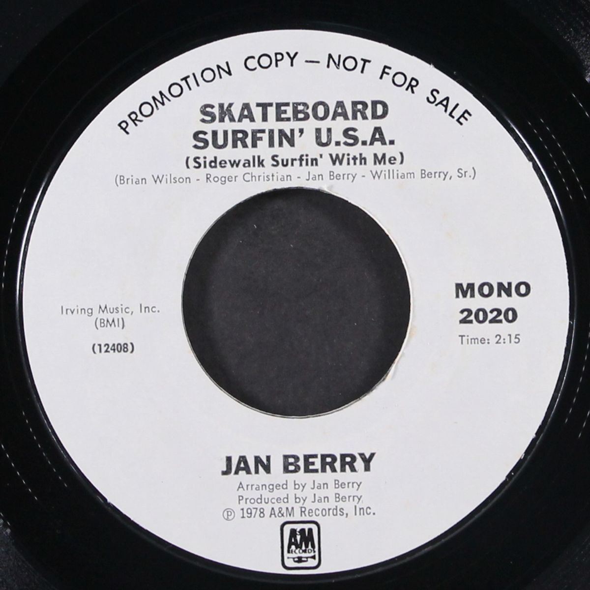 skateboard surfin' usa / mono by JAN BERRY