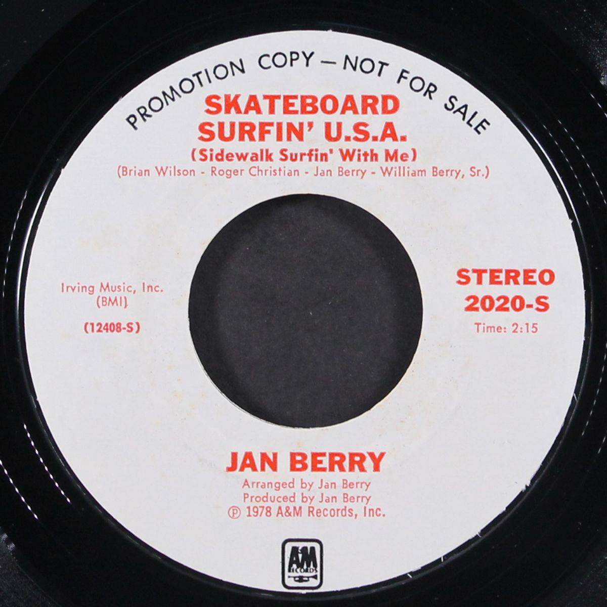 skateboard surfin' usa / mono by JAN BERRY