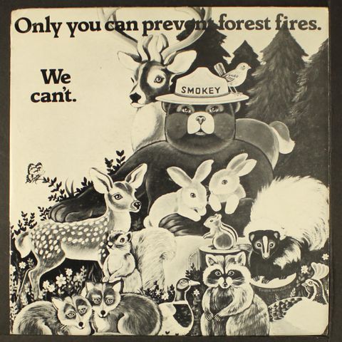 SMOKEY THE BEAR