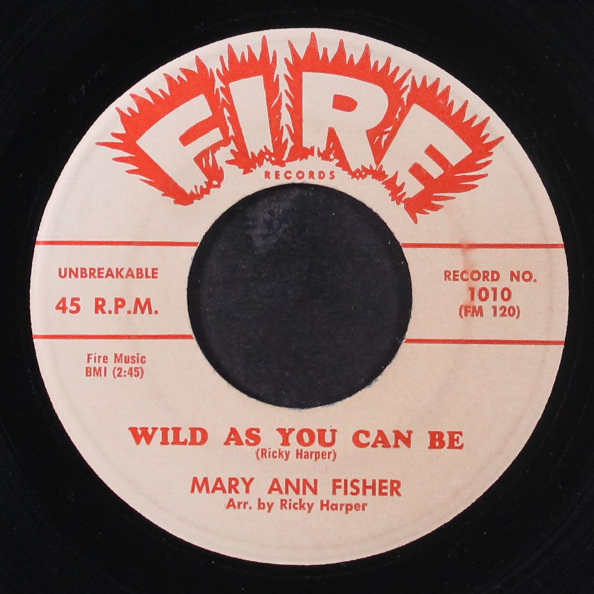 wild as you can be / only yesterday by MARY ANN FISHER