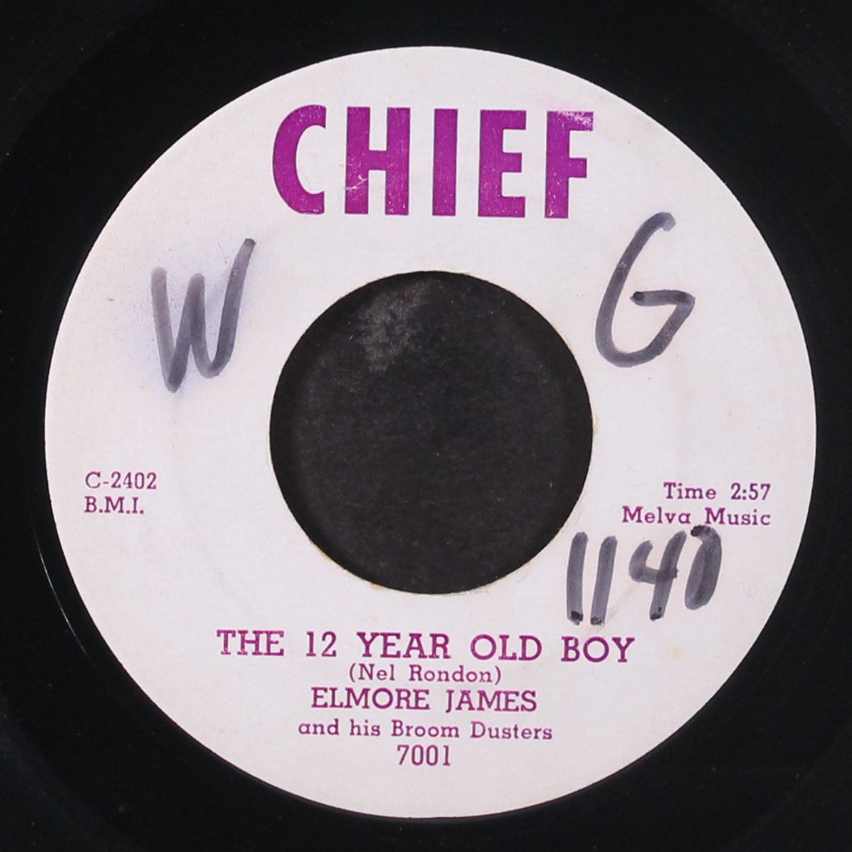 coming home / the 12 year old boy by ELMORE JAMES
