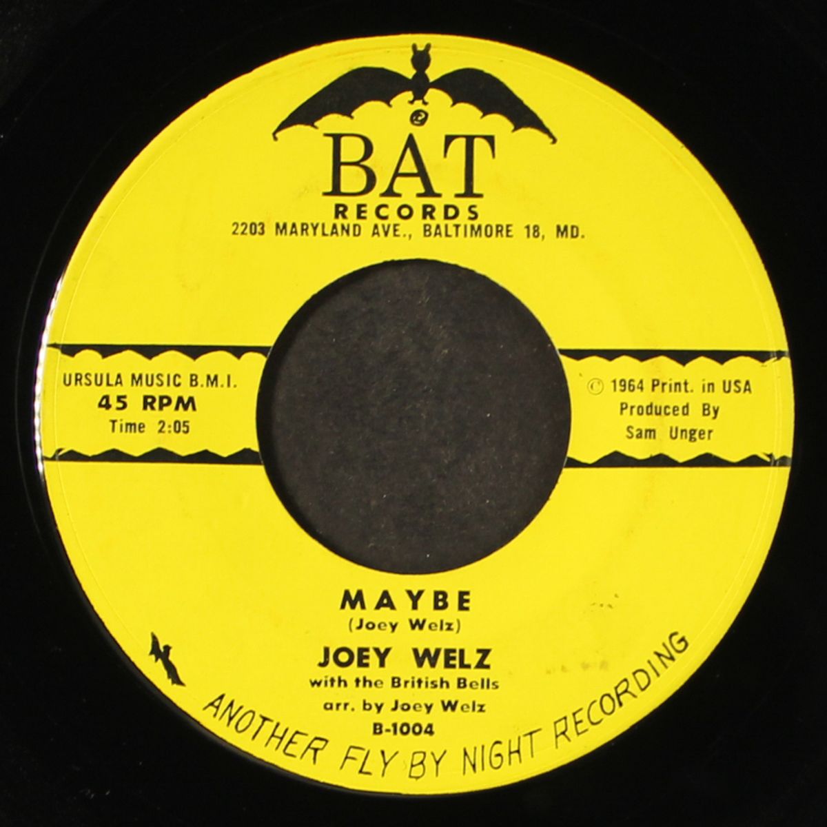 i will sing a rhapsody / maybe by JOEY WELZ