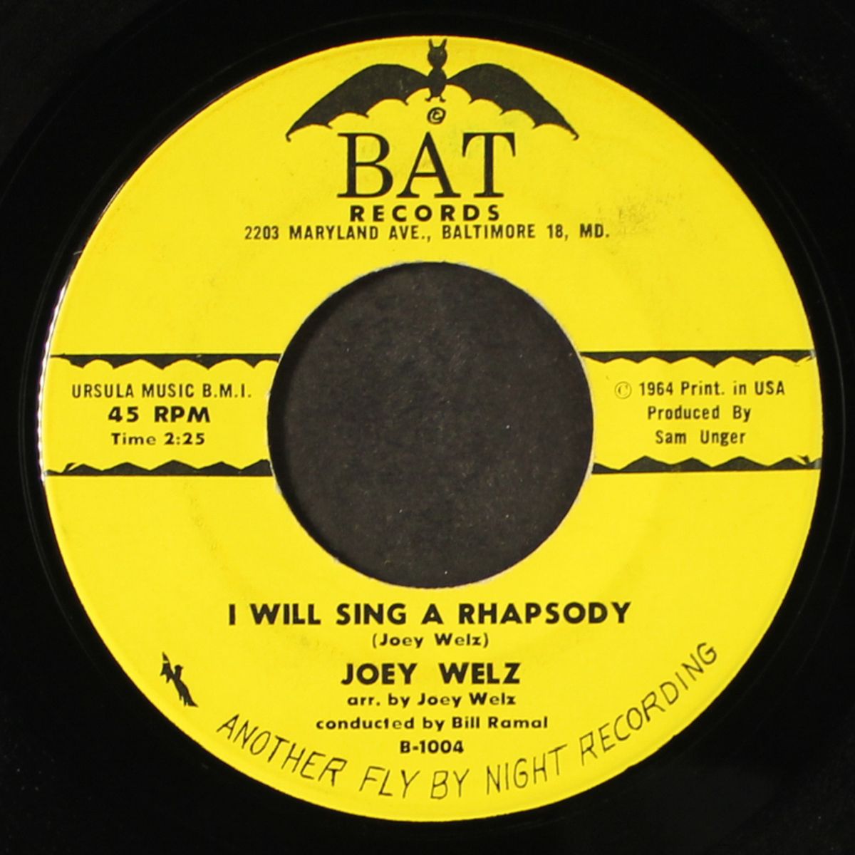 i will sing a rhapsody / maybe by JOEY WELZ