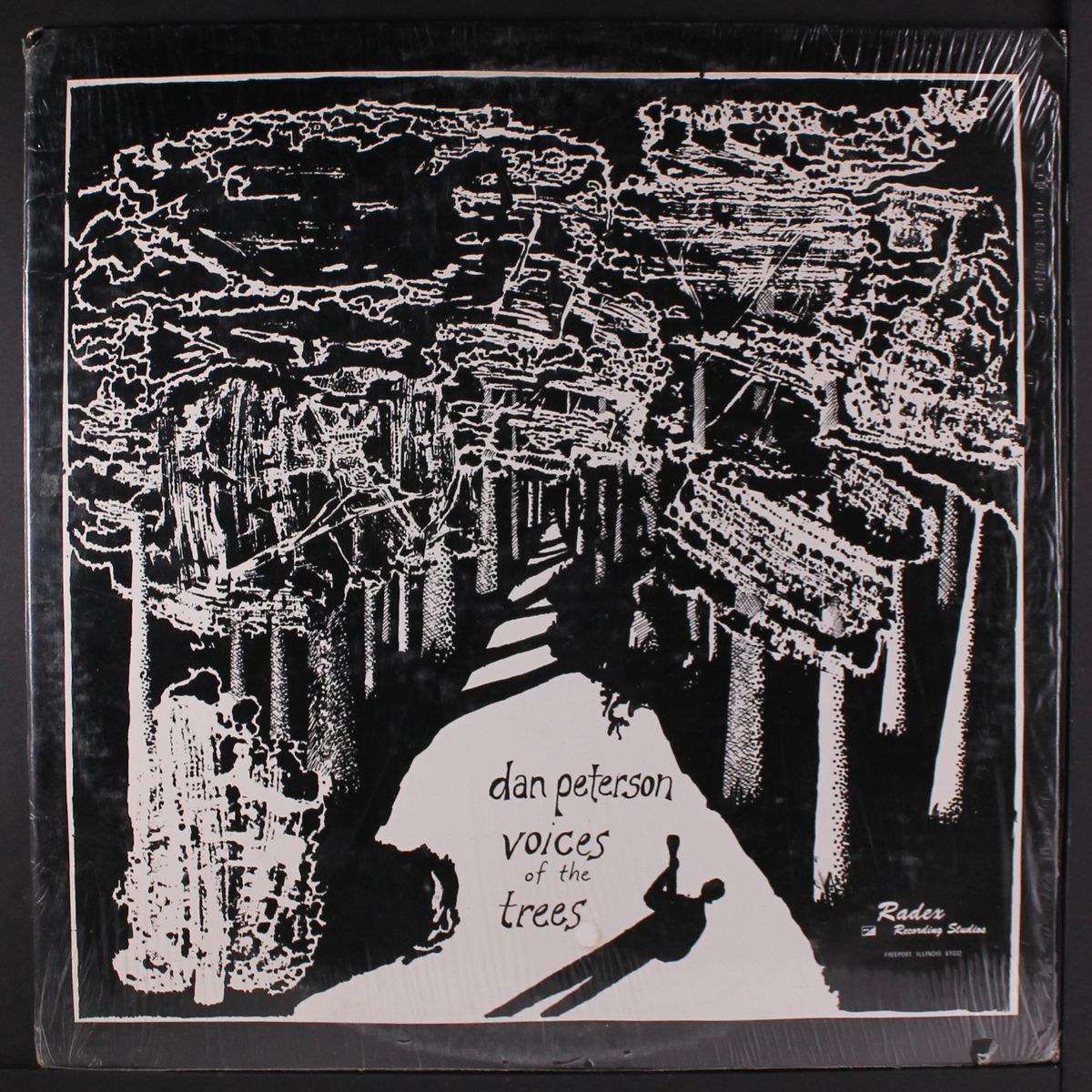 voices of the trees by DAN PETERSON