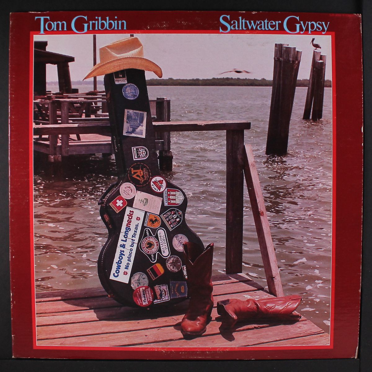 saltwater gypsy by TOM GRIBBIN