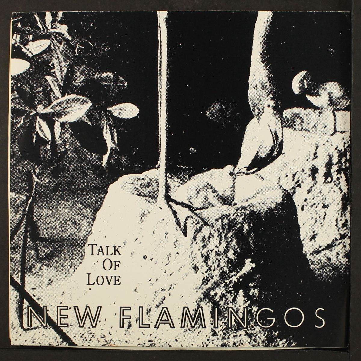 the imposter / talk of love by NEW FLAMINGOS