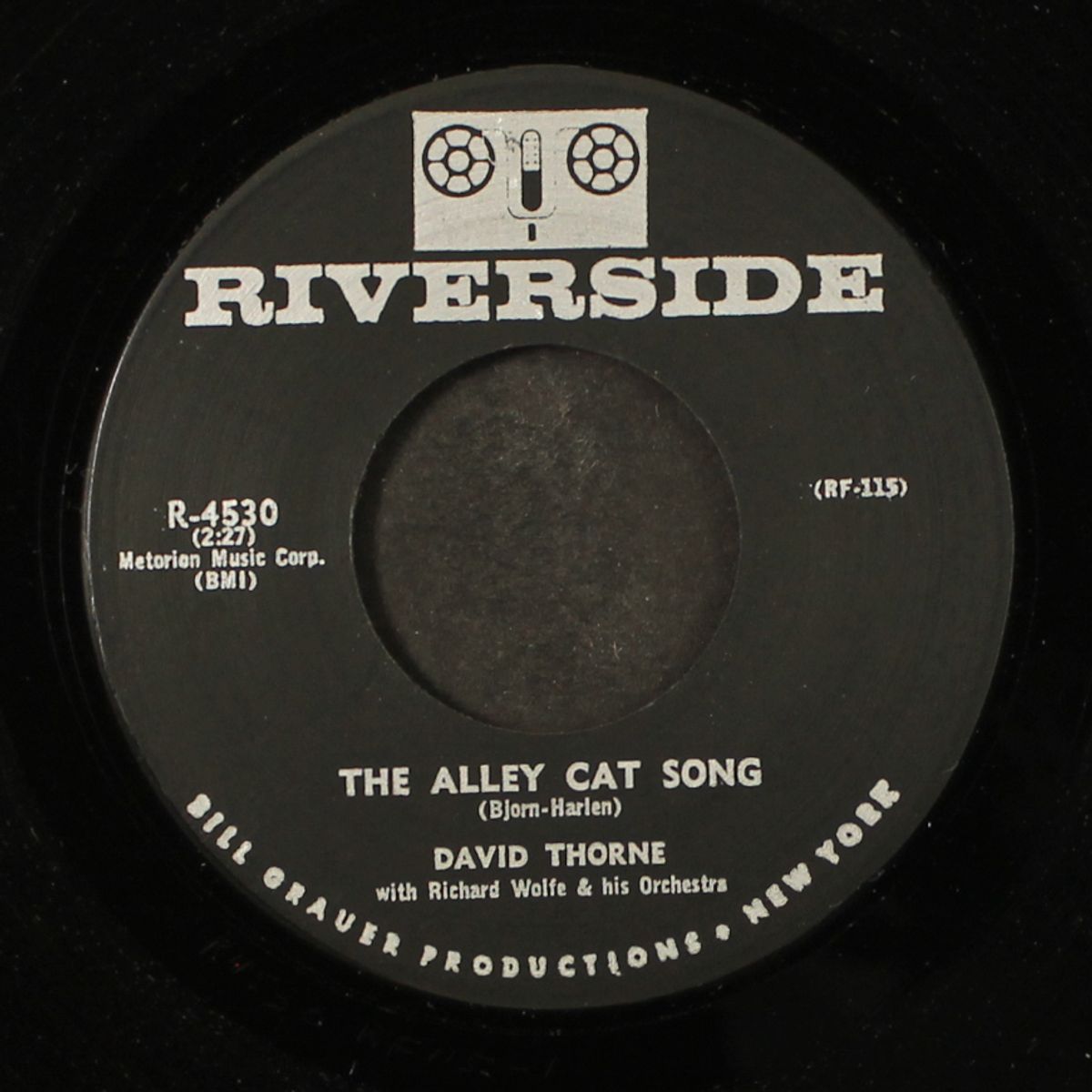 the alley cat song by DAVID THORNE