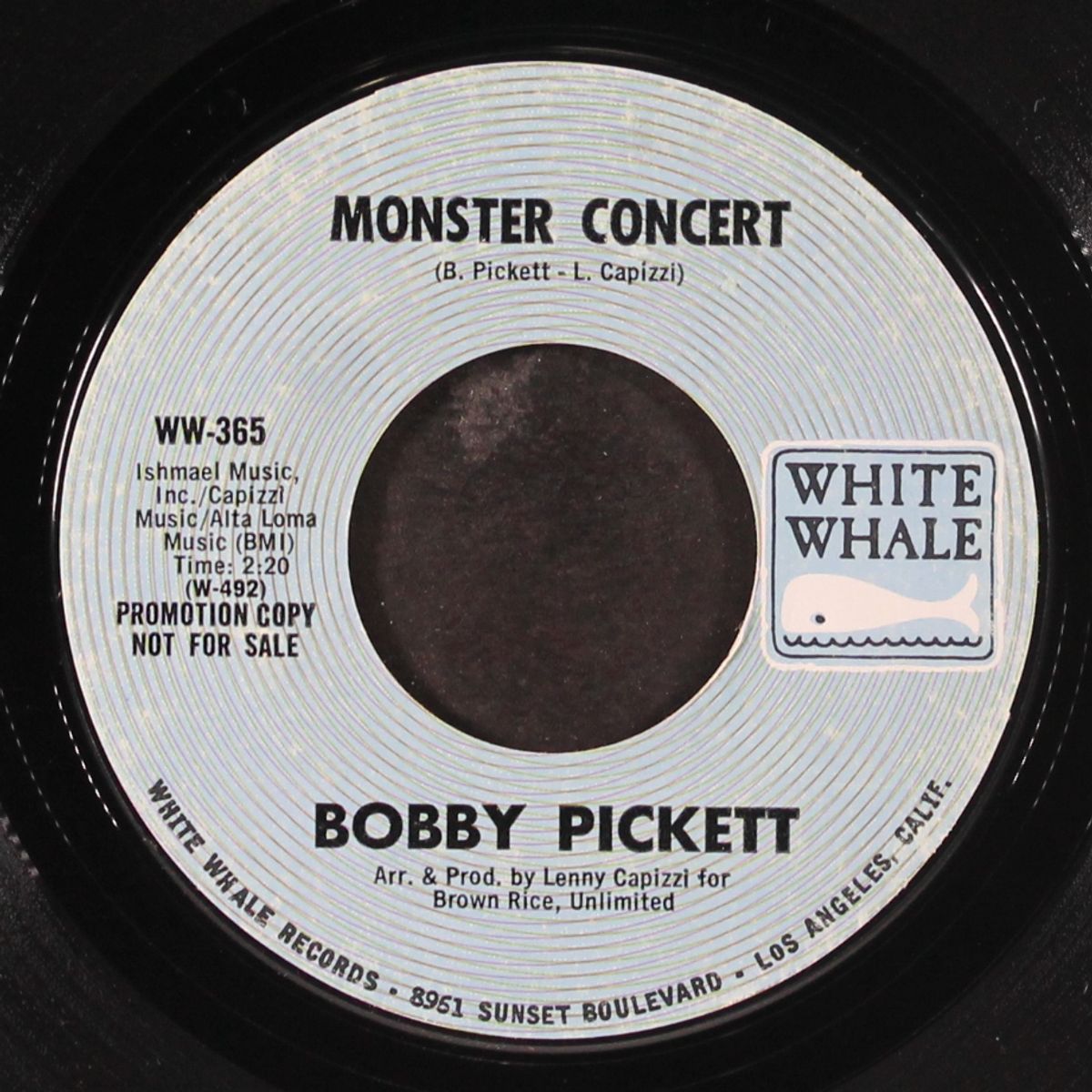 monster concert by BOBBY (BORIS) PICKETT