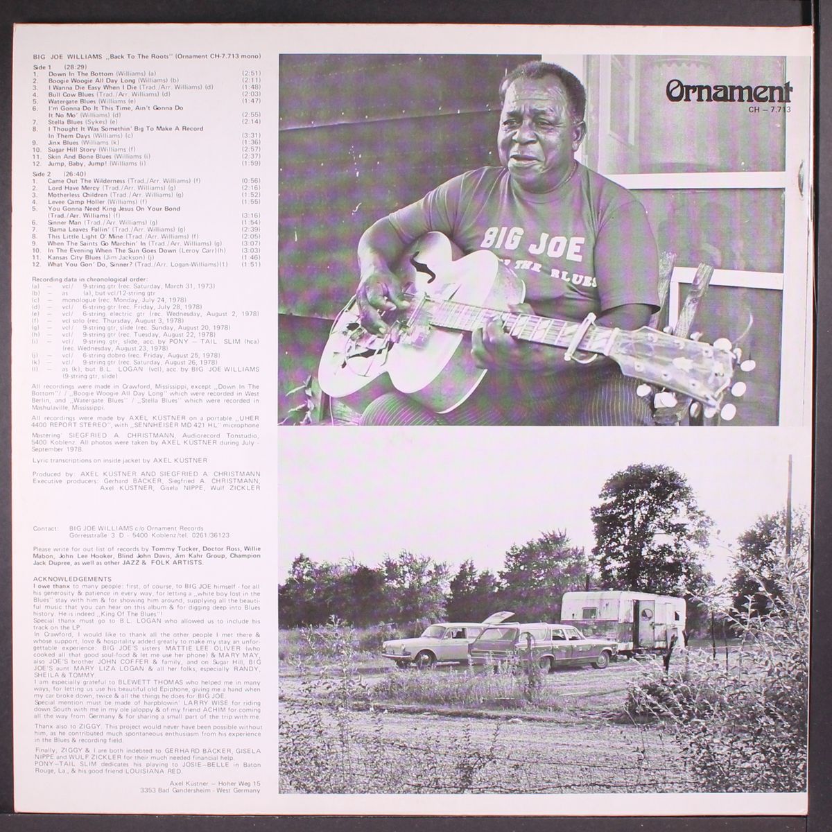 back to the roots by BIG JOE WILLIAMS