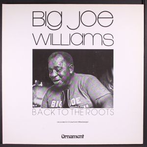 BIG JOE WILLIAMS