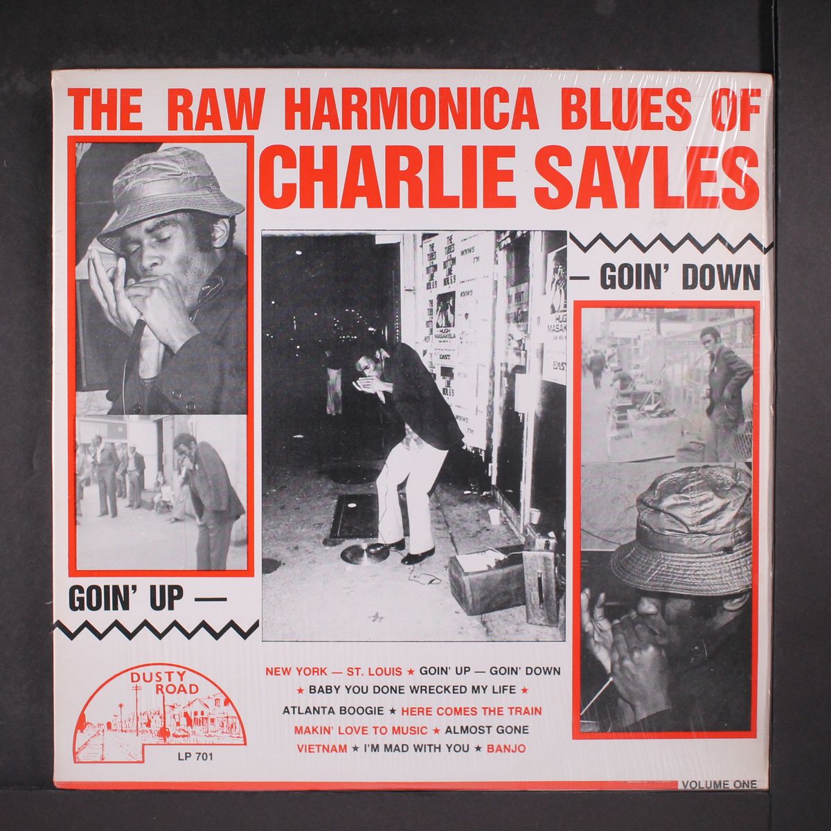 the raw harmonica blues by CHARLIE SAYLES