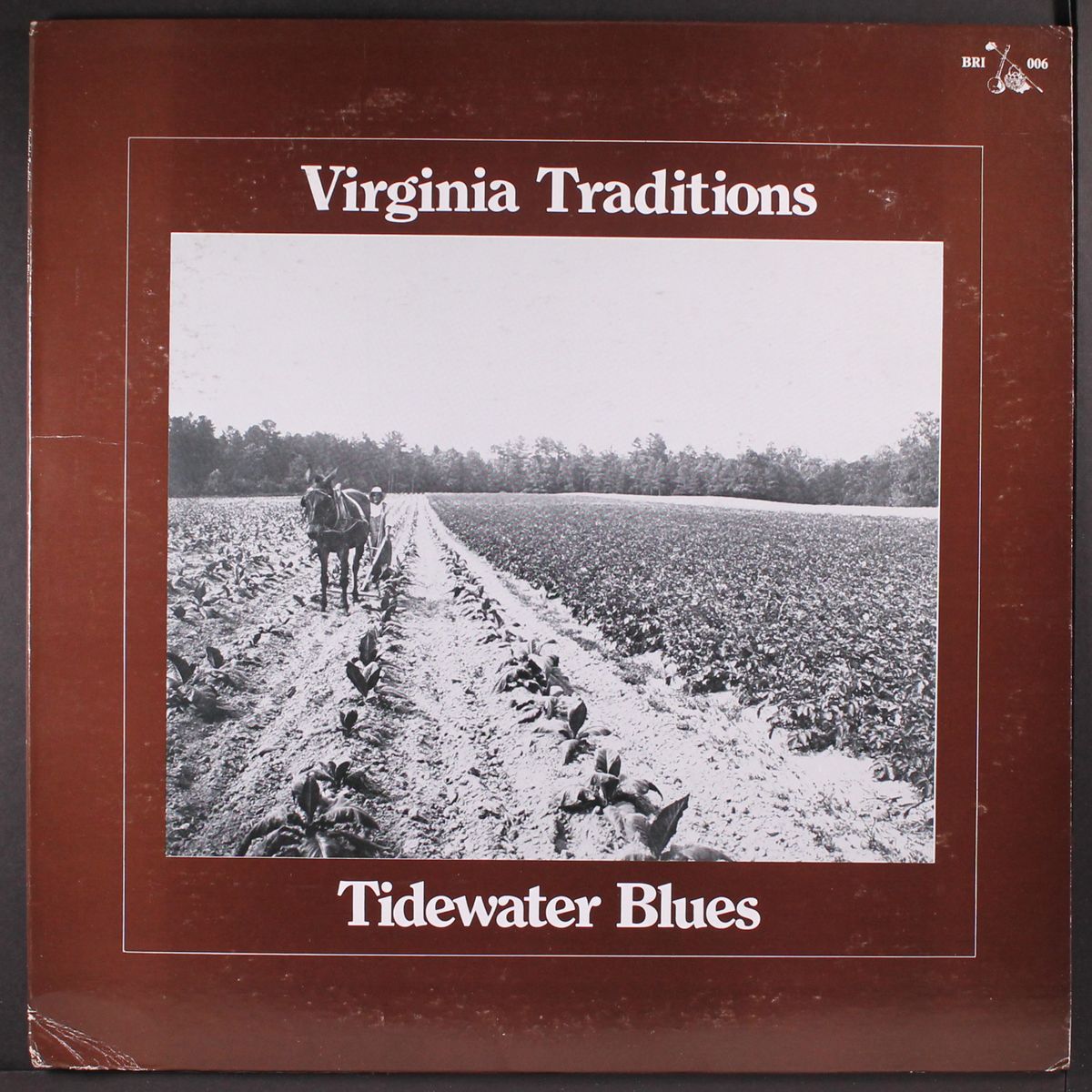 virginia traditions, tidewater blues by VARIOUS