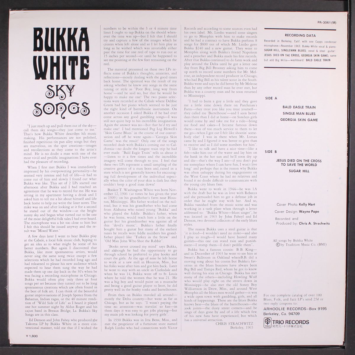 sky songs by BUKKA WHITE